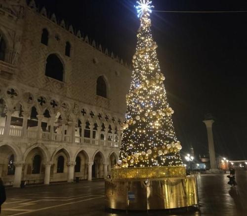 Die Tanne drüben bei San Marco …